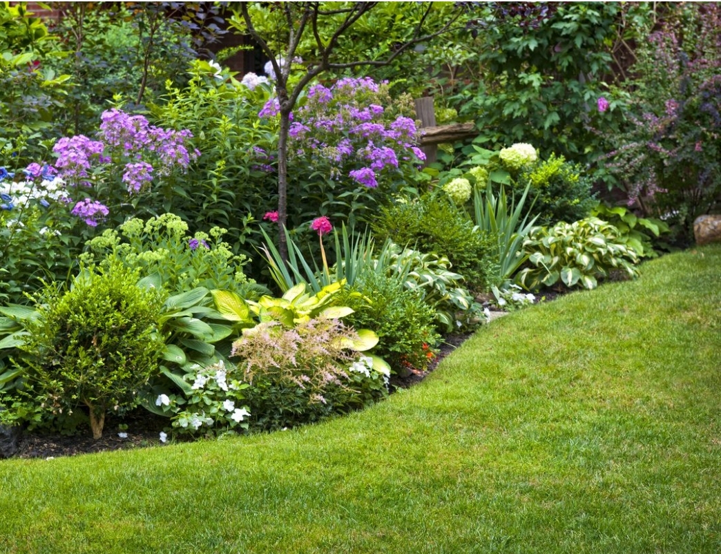 Jardin avec une pelouse bordée de massifs fleuris, de plantes et d’arbustes